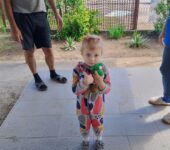 2025-05-18_Kuchurgan (9)
